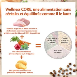 Wellness CORE - Croquettes Sterilised au Poulet pour Chat