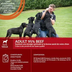 Wellness CORE - Repas Complet 95% de Bœuf pour Chien - 400g