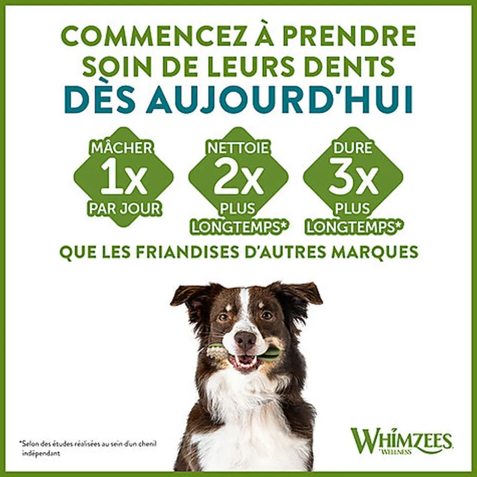 Whimzees - Friandises Dentaires Naturelles Bâtonnets pour Chien - M
