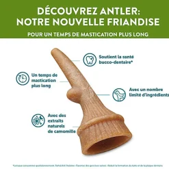 Whimzees - Sachet Antler - L 6 Pcs