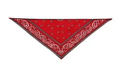 Wouapy - Bandana Rouge pour Chiens