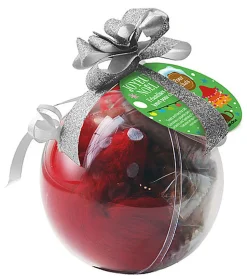 Wouapy - Boule Noël Friandises + Jouet au Poulet pour Chat - 25g