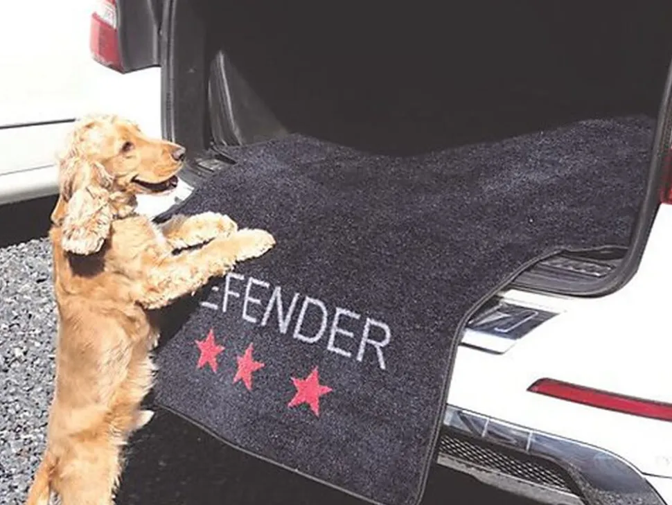 Wouapy - Tapis de Coffre DEFENDER pour Voiture - 155x100cm