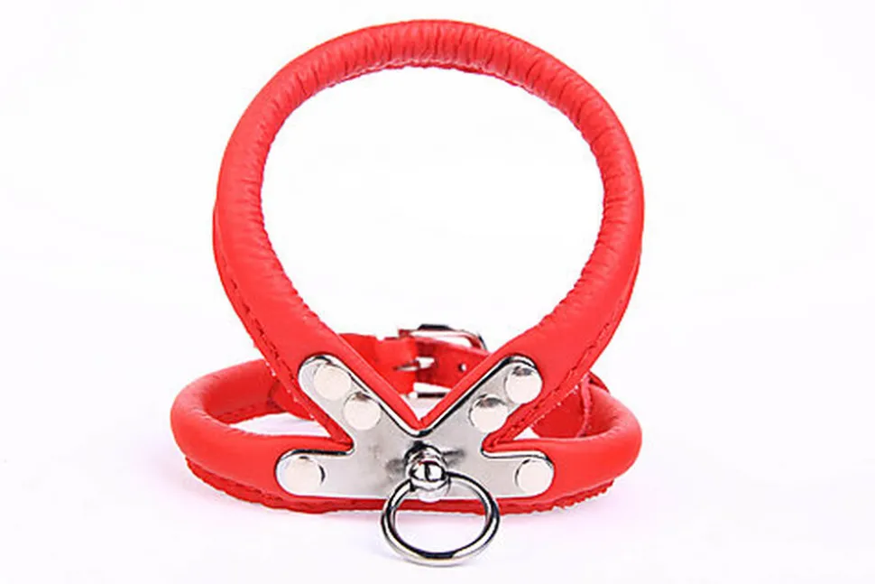 Yogipet - Harnais Cuir pour Chien Rouge