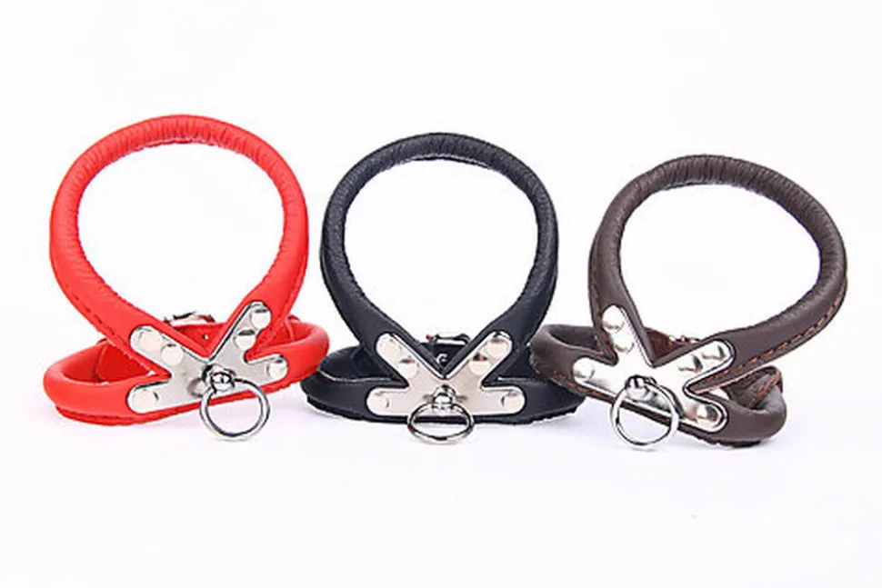Yogipet - Harnais Cuir pour Chien Rouge