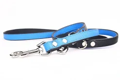 Yogipet - Laisse Ajustable pour Chien Bleu