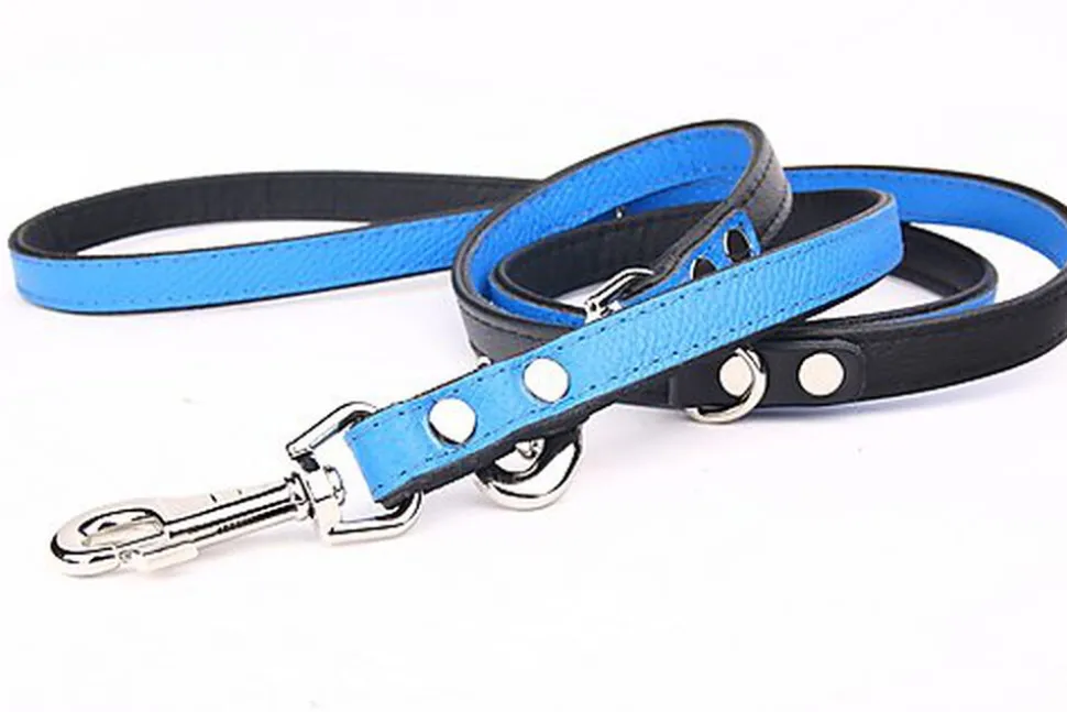 Yogipet - Laisse Ajustable pour Chien Bleu