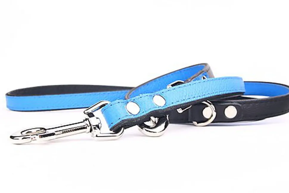 Yogipet - Laisse Ajustable pour Chien Bleu