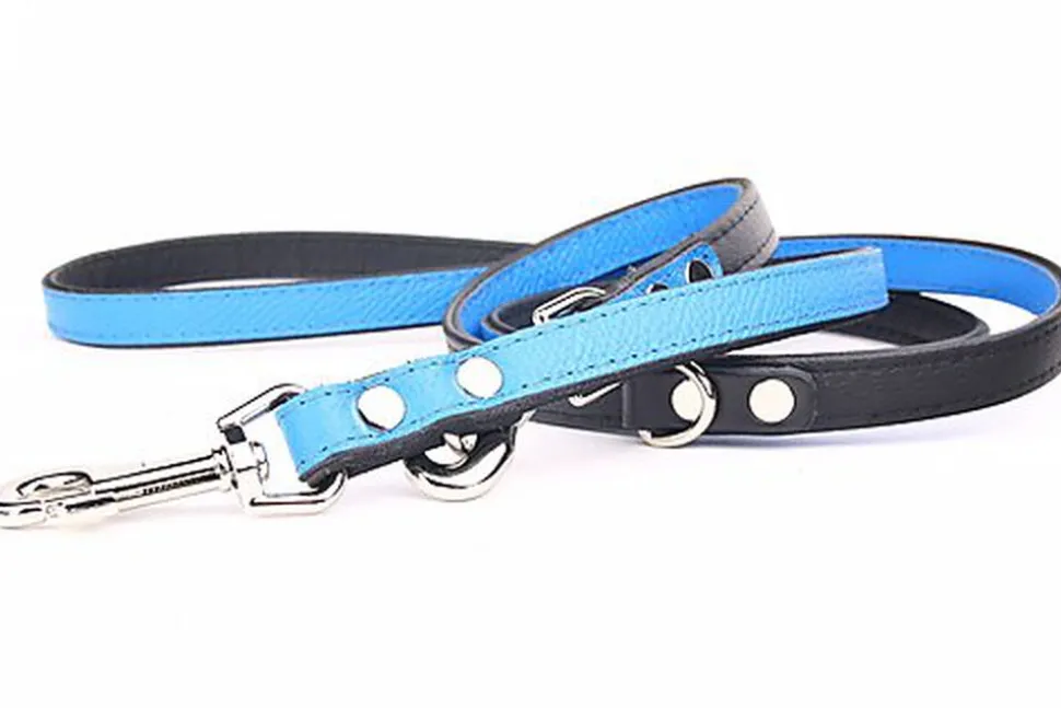 Yogipet - Laisse Ajustable pour Chien Bleu