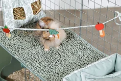 ZOLUX - HABITAT MODULABLE NEOPARK LAPIN - 140X105X70