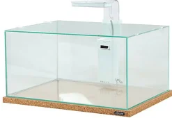 Zolux - Kit Aquarium Betta Rek Blanc pour Poissons d'Eau Douce - 23L