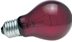 Zoomed - Ampoule chauffante infrarouge nocturne pour terrarium - 40W