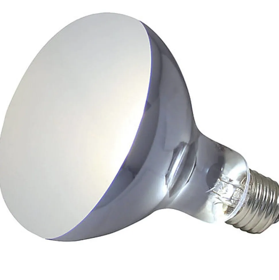 Zoomed - Ampoule Chauffante PowerSun UV PUV10 pour Terrarium