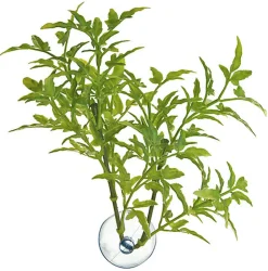 Zoomed - Plante artificielle avec ventouse pour aquarium - Maple leaf