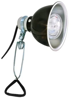 Zoomed - Réflecteur Ampoule Deluxe Porcelain Clamp Lamp pour Terrarium