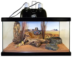 Zoomed - Support de Lampe Double Mini Dôme Profond Mini Combo Deep Dome LF-19E pour Terrarium - 2x100W